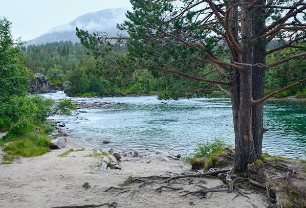 Letni widok na rzekę górską (w pobliżu Stordal, Norwegia).