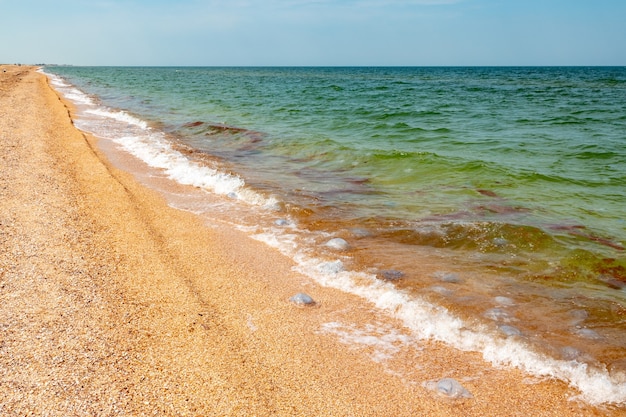 Letni Wieczór Na Plaży Morza Azowskiego W Lecie