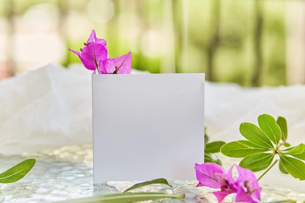 Letnia biała pocztówka lub zaproszenie makieta różowe kwiaty bugenwilli Jasne słoneczne tło Feminitywne tło czułości Wysokiej jakości zdjęcie