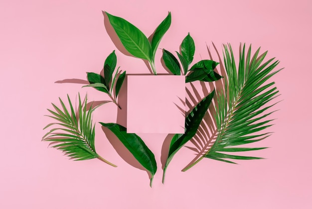 Letnia naturalna makieta tropikalnych liści na różowym tle Kreatywny letni układ z copyspace