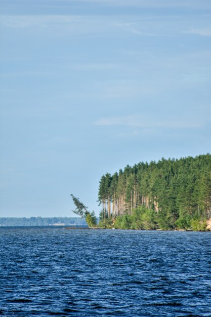 letnia panorama Wołgi