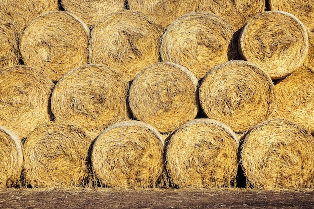 Letnia sceneria gospodarstwa ze stogiem siana na tle pięknego zachodu słońca w polu jako koncepcja rolnictwa