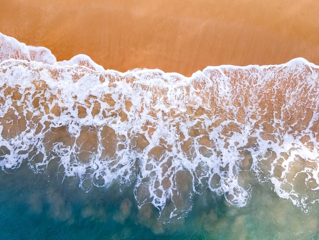 Letnia Tropikalna Plaża I Fale.