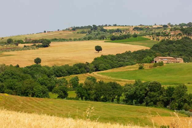 Letnia wycieczka do winnic i cyprysów