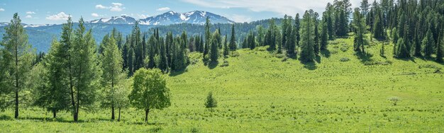 Letnia zieleń łąk i lasów oraz śnieg na szczytach słoneczny dzień panoramiczny widok