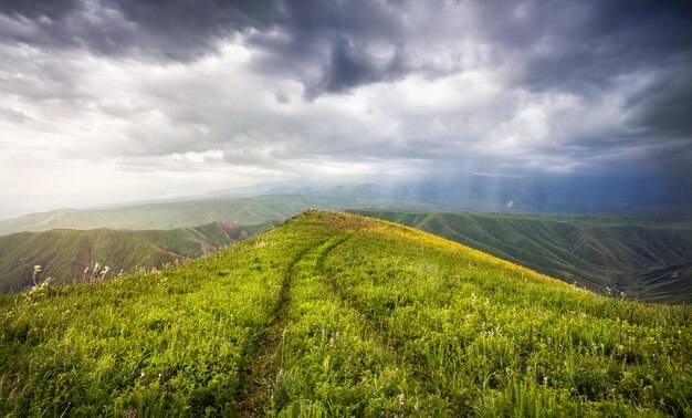Letnie góry w Kazachstanie