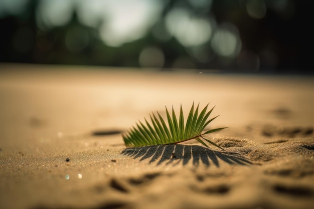 Letnie koncepcje tła z cieniem liścia kokosowego na czystej, piaszczystej plaży AI generowane