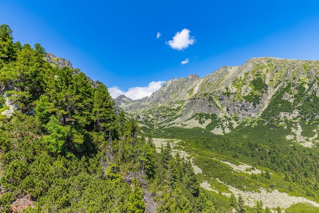 Letnie Tatry, Słowacja. Panoramiczny letni widok na Tatry Wysokie, zieleń doliny