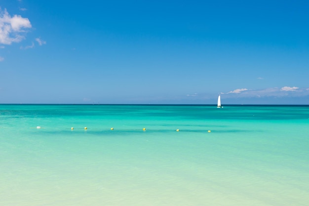 Letnie wakacje w karaibskim raju Morze lub ocean z turkusową wodą w antigua Pejzaż morski w idylliczny słoneczny dzień Pojęcie wolności spokoju