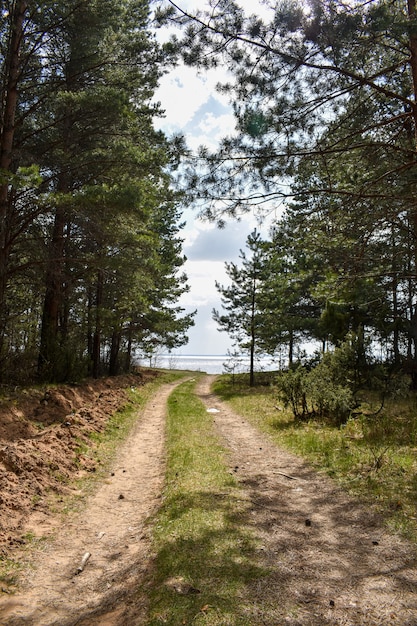 Letnie Wybrzeże Wołgi