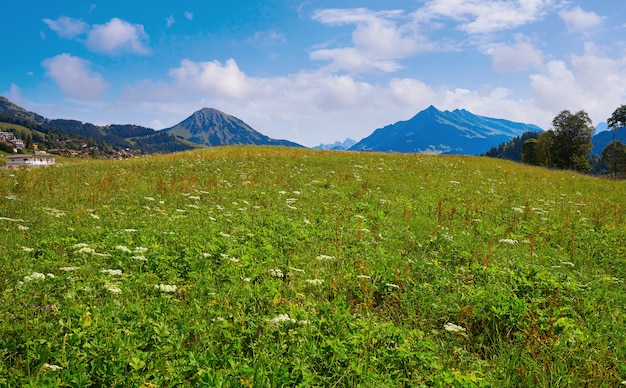 Zdjęcie leysin w alps przy ormont dessus w szwajcaria