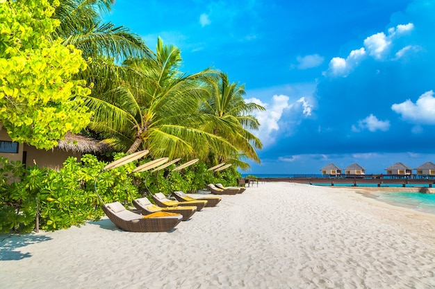 Leżak Na Tropikalnej Plaży Na Malediwach