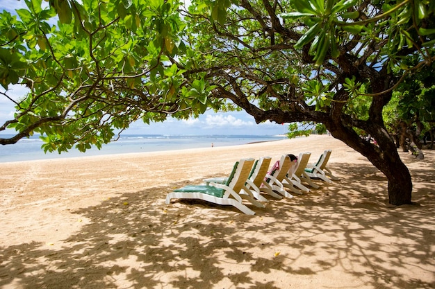 Leżaki na białej, piaszczystej plaży Nusa Dua, Bali, Indonezja