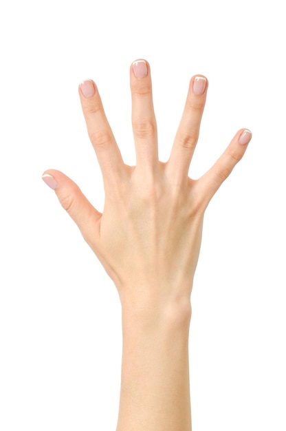 Zdjęcie liczanie ręczne pięć palców odizolowane