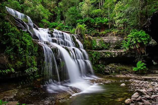 Liffey Spada Stan Rezerwa Przy Midlands Regionem Tasmania, Australia.