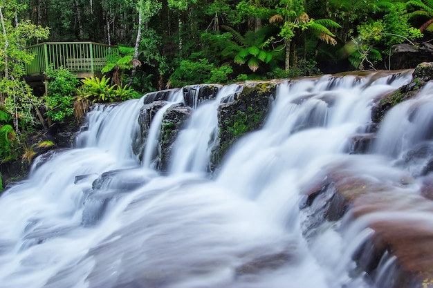 Zdjęcie liffey spada stan rezerwa przy midlands regionem tasmania, australia.