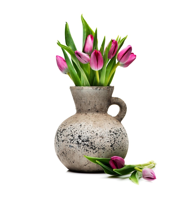 Zdjęcie liliowe tulipany w betonowym wazonie na białym tle