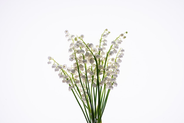 Lilly of the valley bukiet kwiatów i liści na białym tle