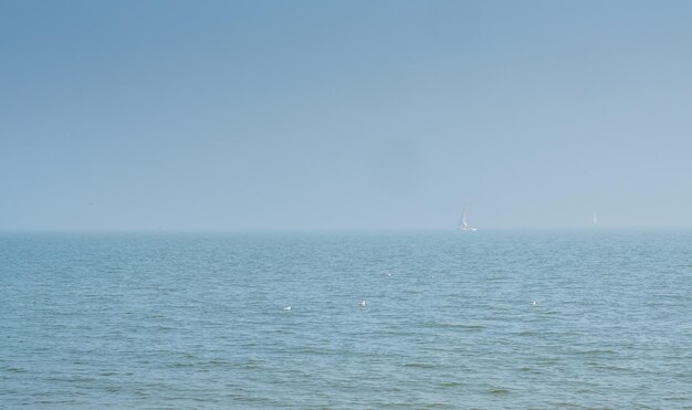 Zdjęcie linia brzegowa i plaża z widokiem na morze w volendam, holandia, pod błękitnym niebem