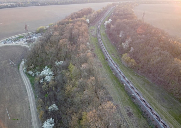 Linia kolejowa zielona trawa wzdłuż drogi i sadzenie drzew bez liści na wiosnę