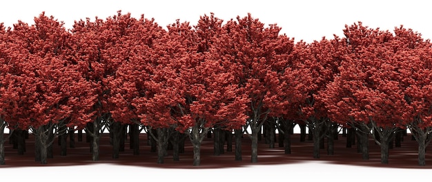 linia lasu z cieniami pod drzewami, izolowana na białym tle, ilustracja 3D, cg