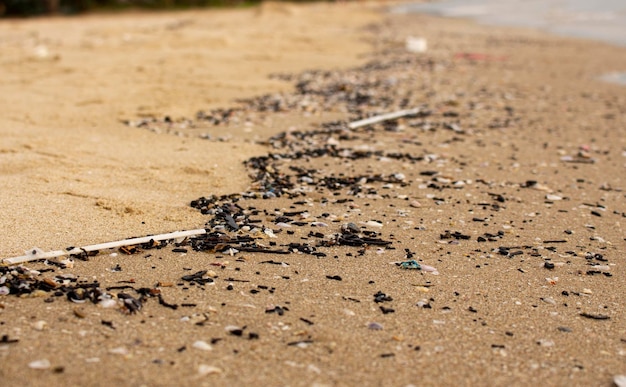 Linia muszelek i kamyków na plaży w Tajlandii