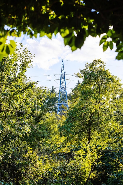 Zdjęcie linia wysokiego napięcia między listowiem drzew