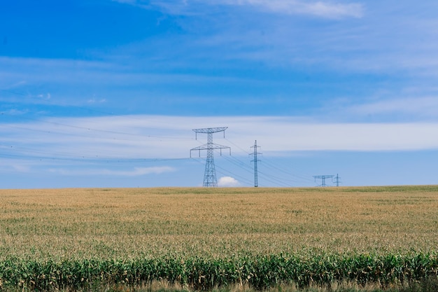 Linie elektroenergetyczne na tle nieba, jesienne pole