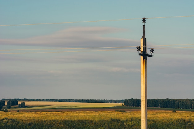 Zdjęcie linie energetyczne przechodzą przez żółte pola. elektryczny filar w polu pod niebieskim niebem. druty wysokiego napięcia w niebie.