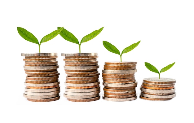 Liść drzewa na monetach oszczędzania pieniędzy Finanse biznesowe oszczędność koncepcja inwestycji bankowych
