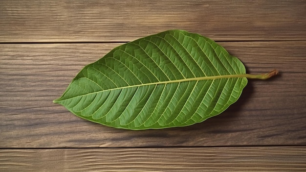 Liść zielonego liścia na drewnianym stole.
