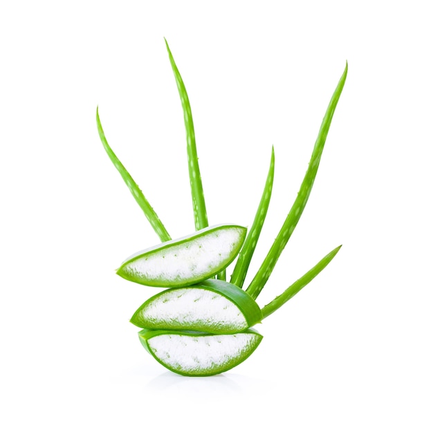 Liście aloe vera na białym tle