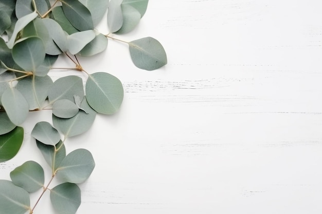 liście eukaliptusa na białym drewnianym tle z kopiowaniem przestrzeni generatywnej ai
