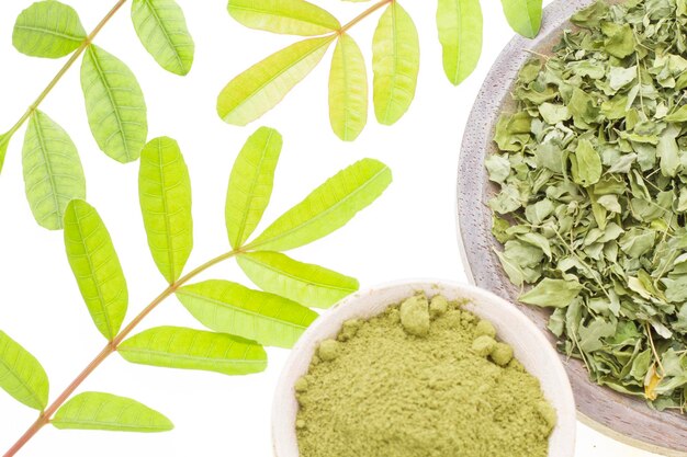 Liście i proszek moringa super żywność i medycyna naturalna Moringa oleifera