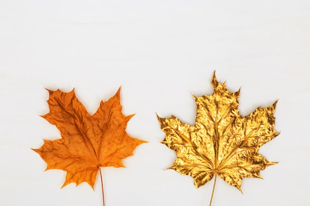 Liście klonu natury pomalowane na złoto, inny zestaw liści jesienią naturalny żółty