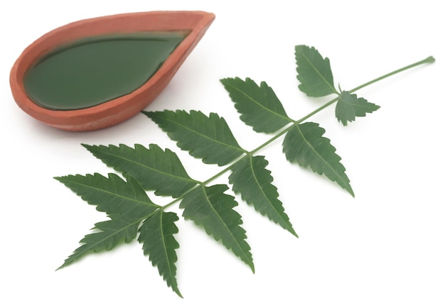 Zdjęcie liście neem lecznicze z ekstraktem