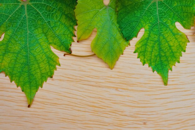 Liście winorośli na desce łączą naturalne piękno z tłem