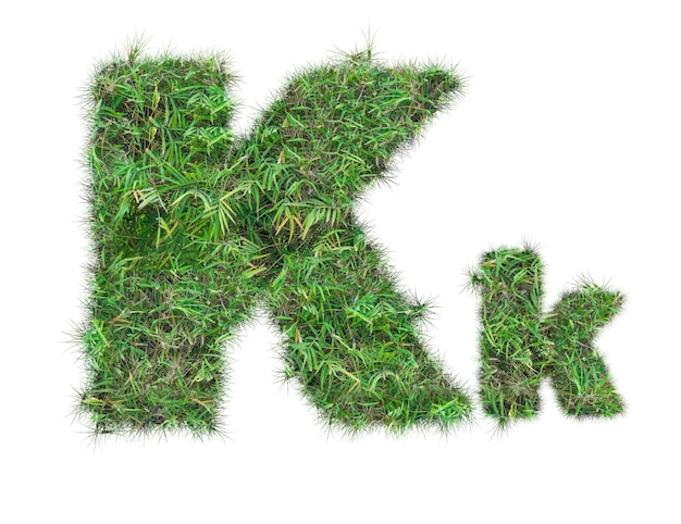 Litera K na zielonej trawie na białym tle