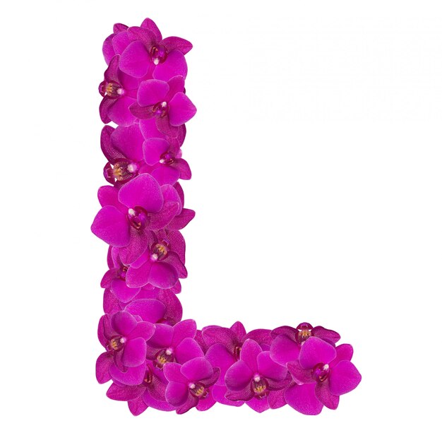 Litera L wykonana z płatków różowego kwiatu