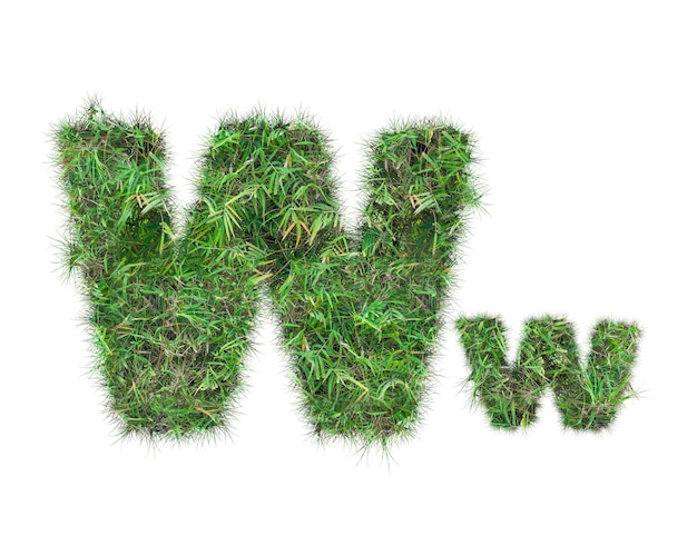 Zdjęcie litera w na zielonej trawie na białym tle