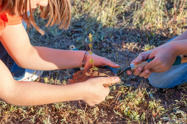 Little Girl Sadzenie Drzewa W Lesie Koncepcja Eko Dzień Ziemi