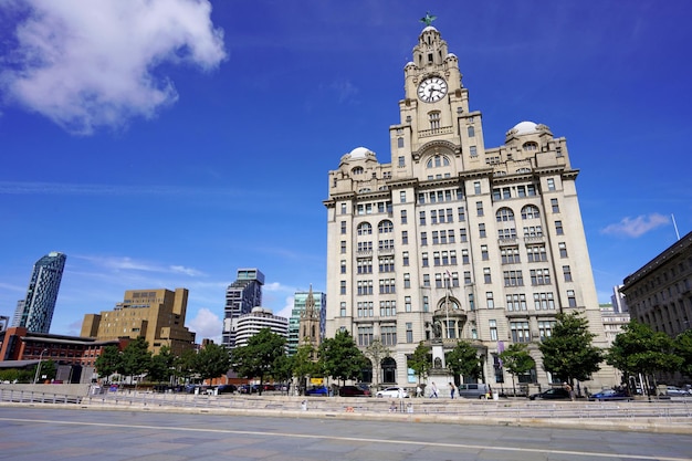 LIVERPOOL UK 14 LIPCA 2022 Pejzaż miejski Liverpoolu z Royal Liver Building Anglia Wielka Brytania