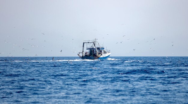 Łódka rybacka pływa po falującym morzu Morza Egejskiego Rój mew podąża za jedzeniem Cyklady Grecja