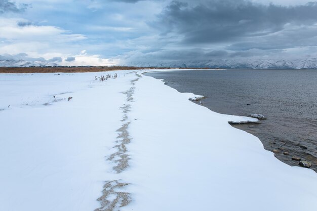 Lodowata plaża ze śniegiem