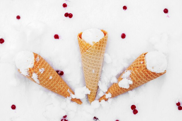 Lody W Rożku Waflowym Z Czerwonymi Jagodami Porzeczki W śniegu