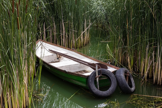 łódź wiosłowa zaparkowana w trzcinach przy brzegu