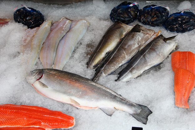 Lokalny rynek rybny Bergen Norwegia