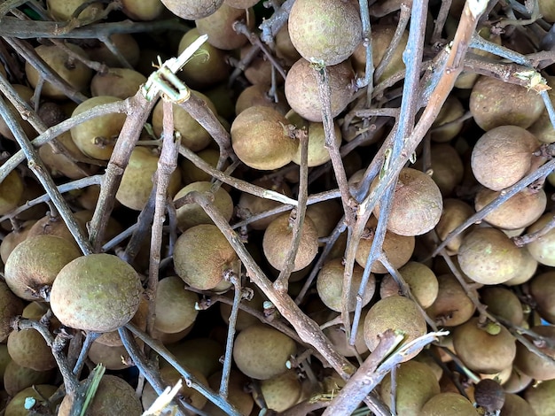Longan Dimocarpus longan owoc z Azji ta sama rodzina liczi Ten owoc jest często spotykany na tradycyjnych i nowoczesnych rynkach owocowych