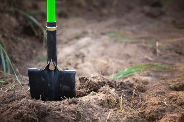 Łopatę wkłada się do ziemi do sadzenia wiosną wiosenne rośliny ogrodowe pracujące na działce ogrodniczej ogrodnictwo uprawa kwiatów rośliny owocowe w ogrodzie kopiować przestrzeń