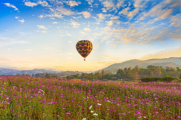 Lot balonem na ogrzane powietrze nad kwiatem kosmosu Festiwal balonów na ogrzane powietrze Prowincja Chiang Rai